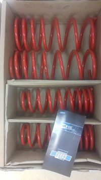 Subaru VIVIO Lowering Springs